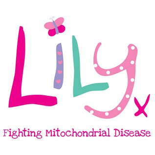 The Lily Foundation logo